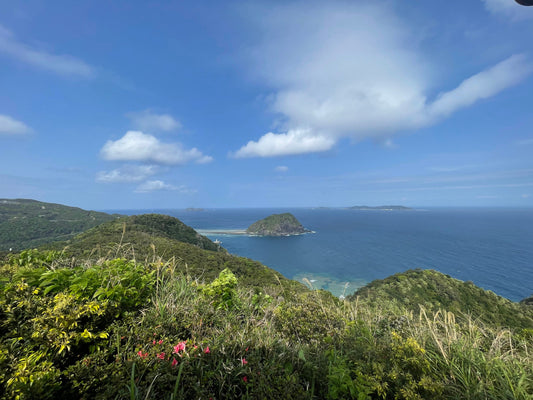 【沖縄離島】渡嘉敷島を遊び尽くす！電動アシスト自転車で巡る「国立公園」のエコな旅
