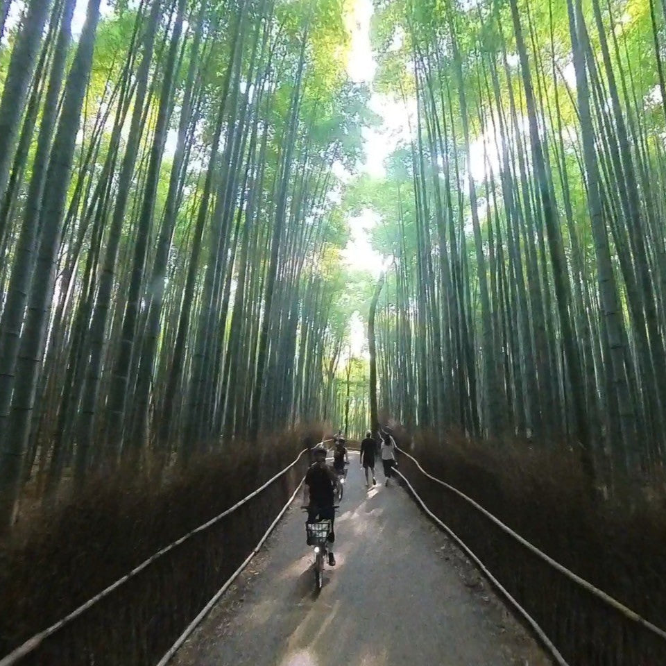 京都(嵐山・市内)サイクリングツアー　【当日受付専用】